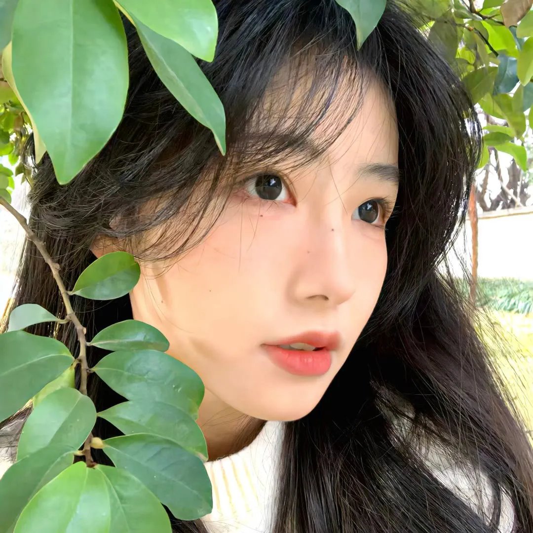 炸鸡块奇遇记