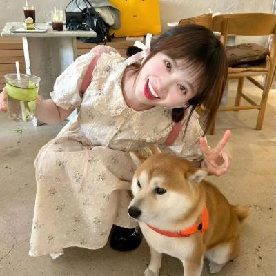 比弗利拜金狗